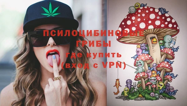 первитин Алексеевка