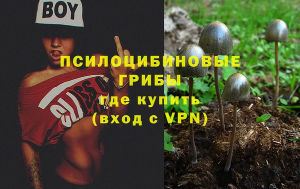 первитин Алексеевка