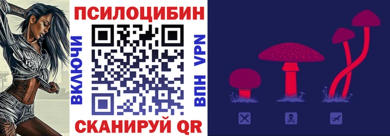 Галлюциногенные грибы ЛСД  hydra ссылки  Заинск 
