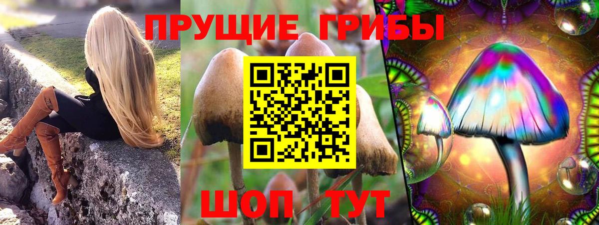 Псилоцибиновые грибы ЛСД Заинск
